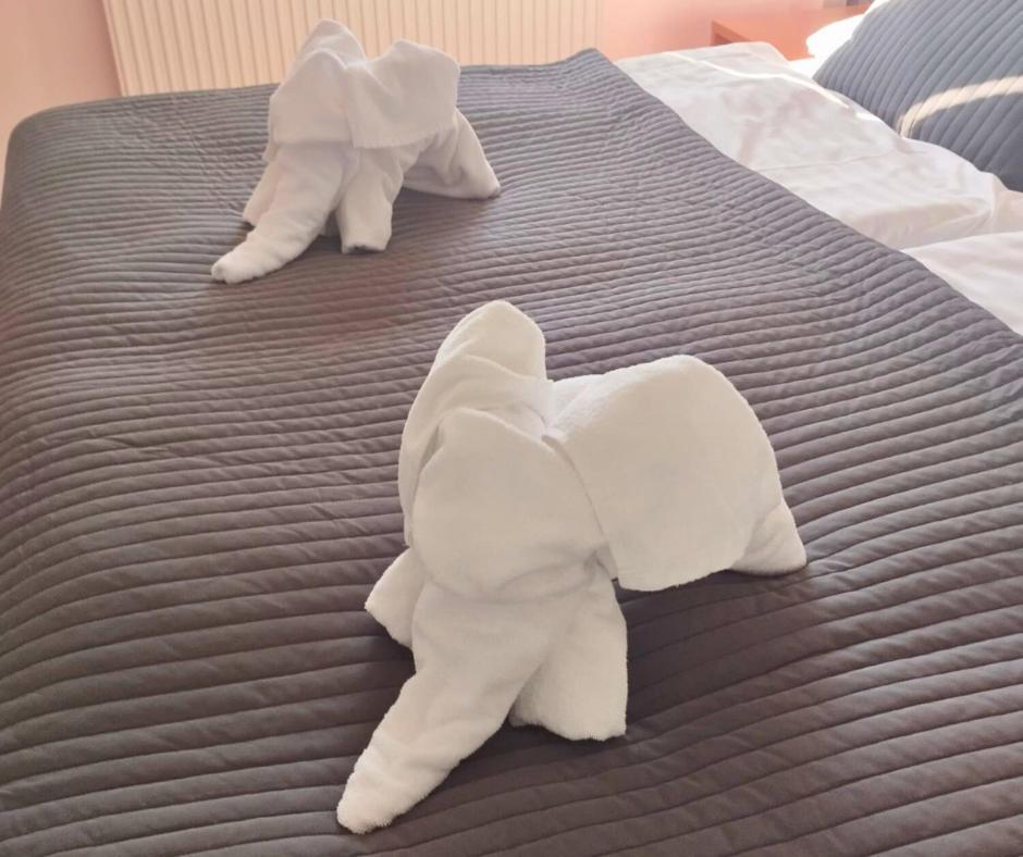טברדושין Hotel Limba Ctt מראה חיצוני תמונה